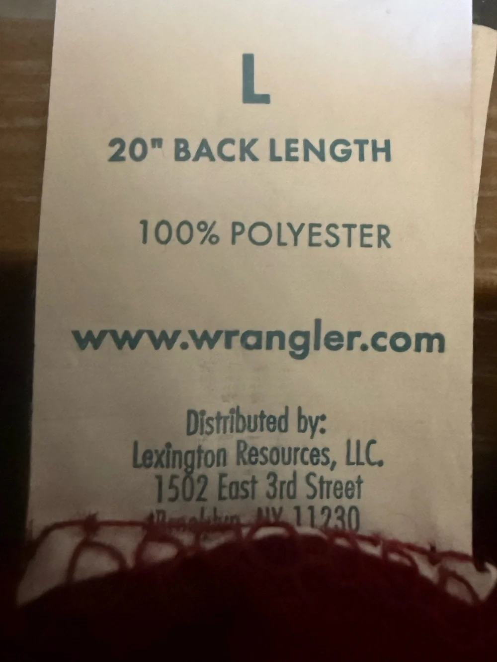 Wrangler Dog Graphic Hoodie with Longhorn Print